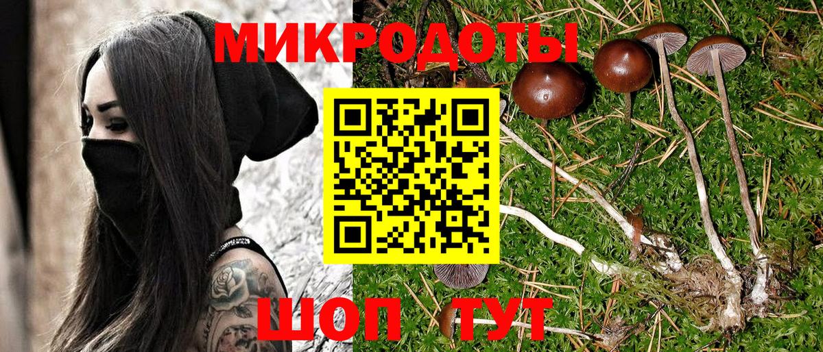 Псилоцибиновые грибы Magic Shrooms Саяногорск